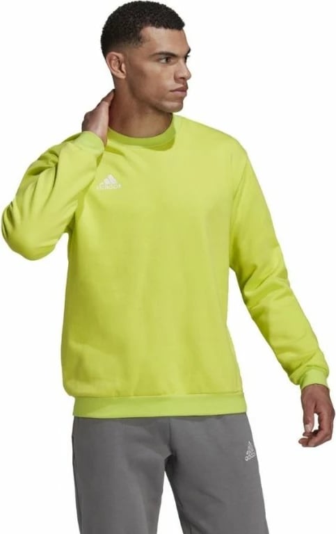 Duks për meshkuj adidas, jeshil