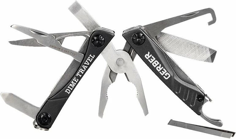 Dana Gerber, me shumë funksione, hirtë