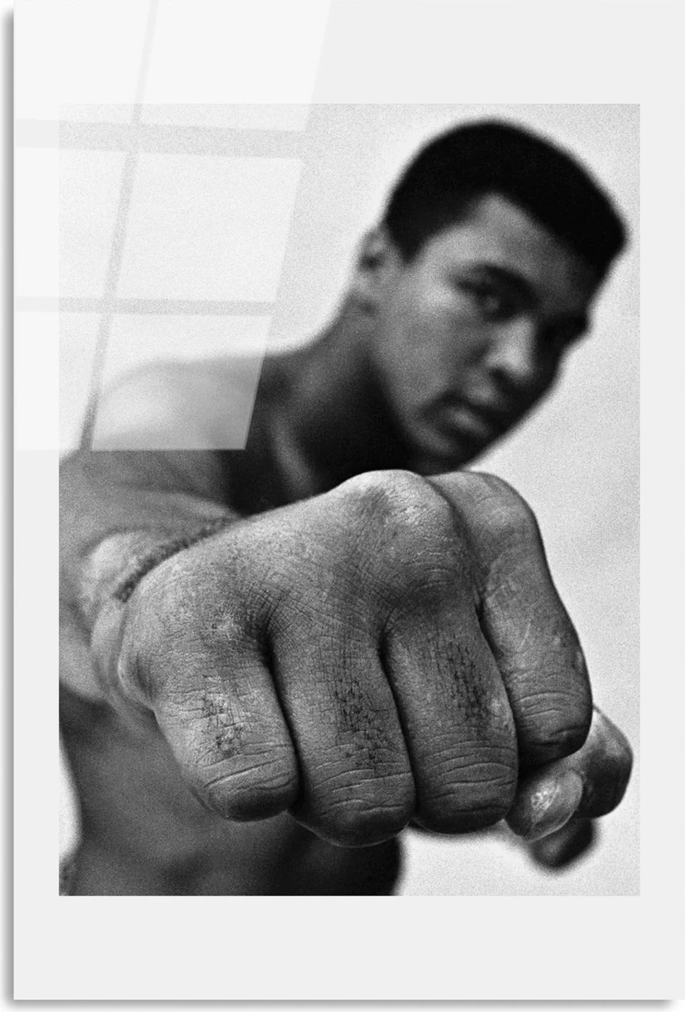 Pikturë dekorative prej xhami të temperuar Wallity, UV-991, 30x45cm