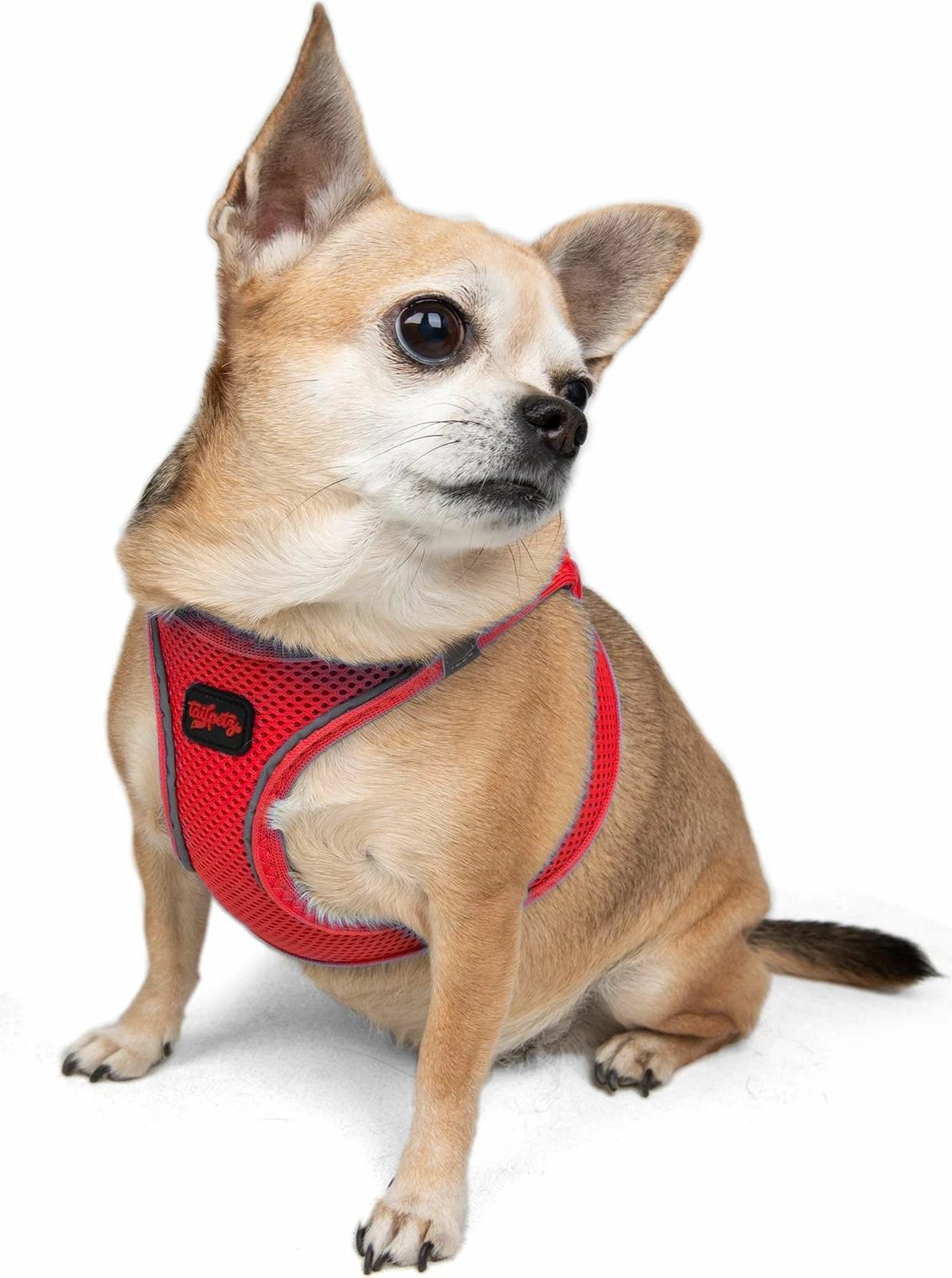 Parzmore për qen, Air-Mesh, ngjyrë garnet