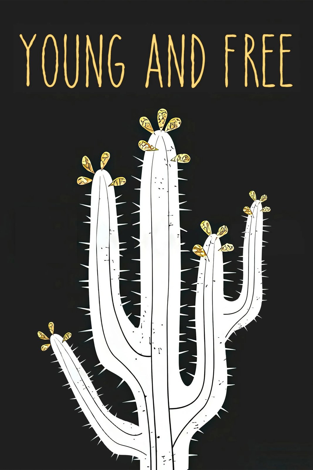 Set tapetesh për banjo (2 copë), Mijolnir, CT-5285