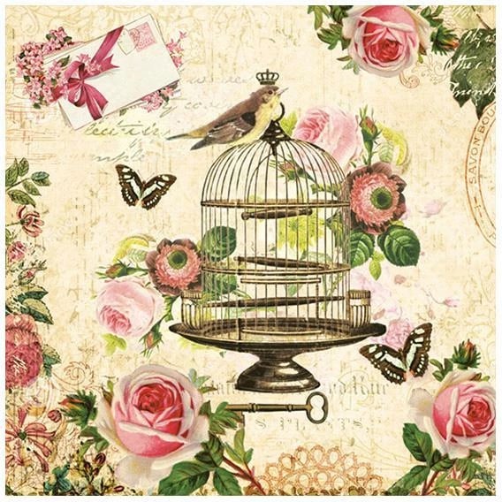 Peceta NEXT 20 copë 33x33cm "Bird in Cage Vintage"