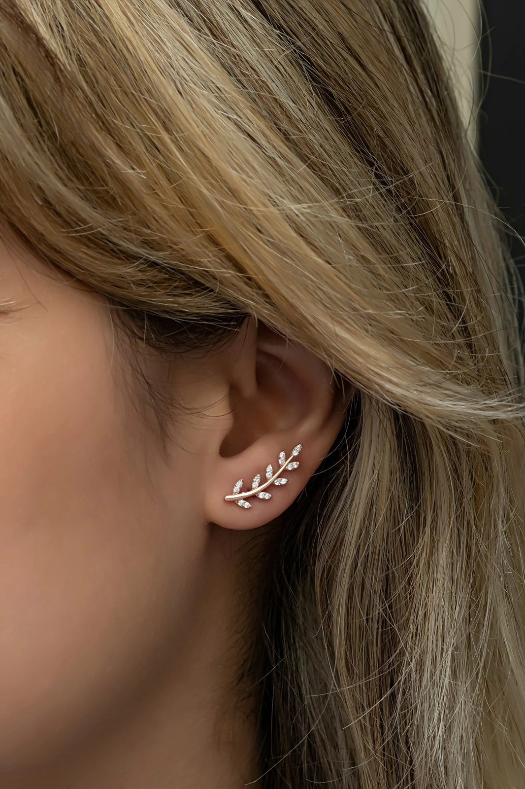 Vathë argjendi Jumeon, NRZ998740