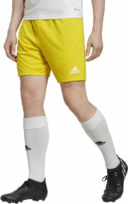 Shorce për meshkuj adidas Entrada 22, të verdha