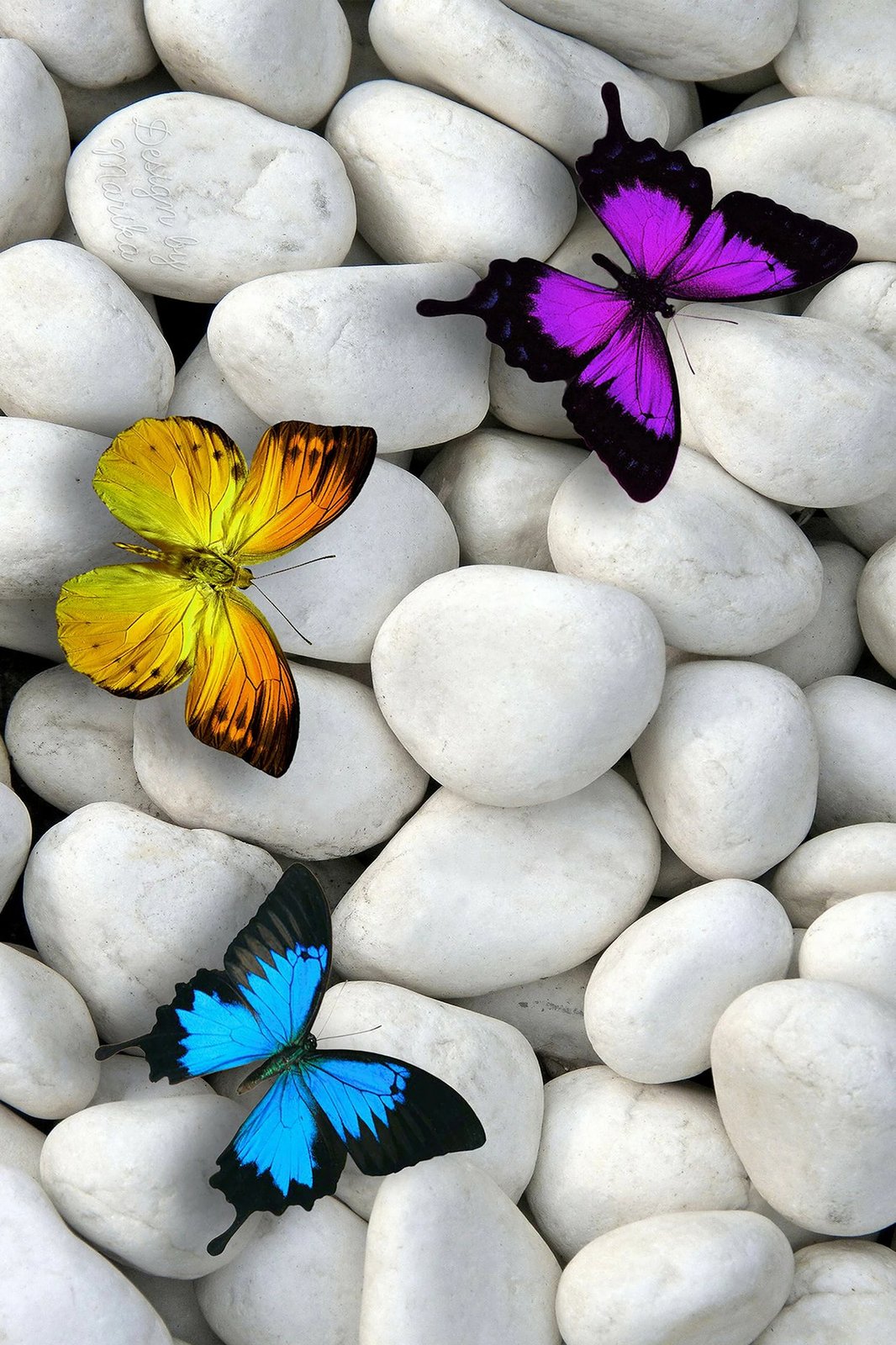 Qilim shumëngjyrësh, 80x120cm, Conceptum Hypnose, WOOKECE130