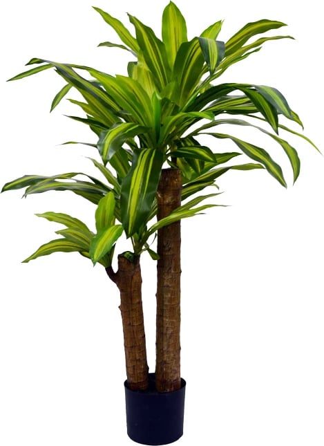 Bimë dekorative Dracaena në vazo, ngjyrë e gjelbër, 110cm
