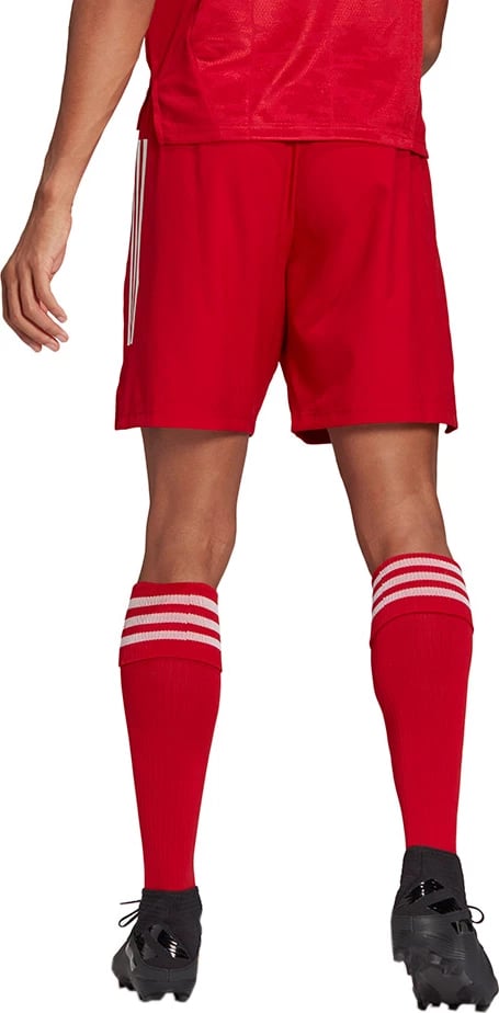 Shorce për meshkuj adidas, të kuqe