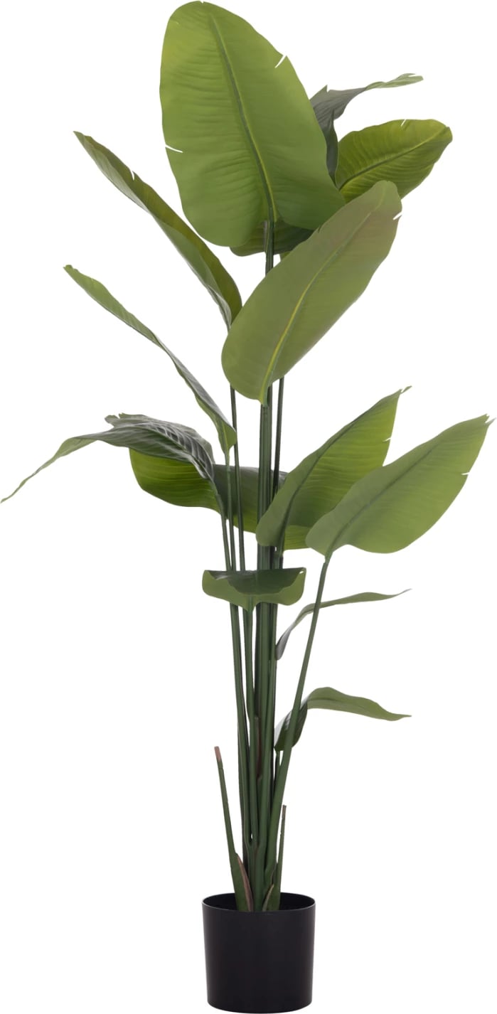 Bimë sintetike dekorative në vazo, Strelitzia, FH4739, Φ18x172cm