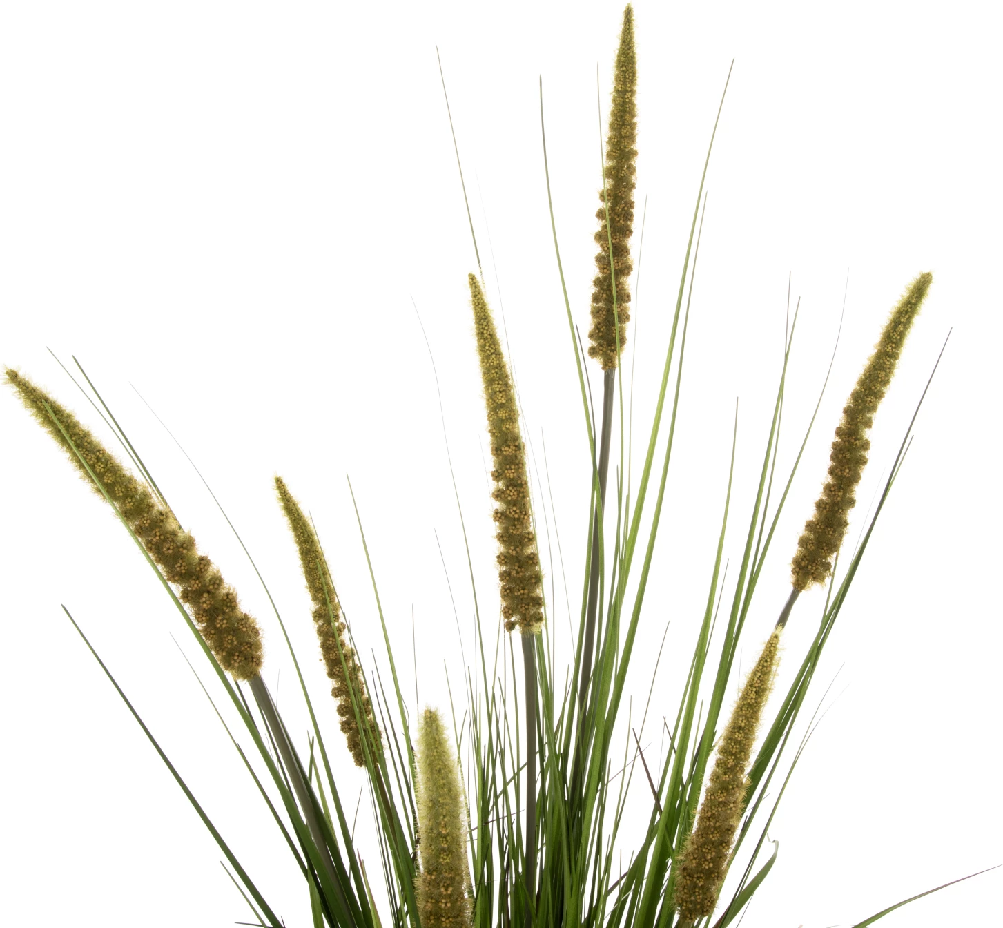 Bimë sintetike dekorative në vazo, FH7999, Ophiuro, 130Hcm