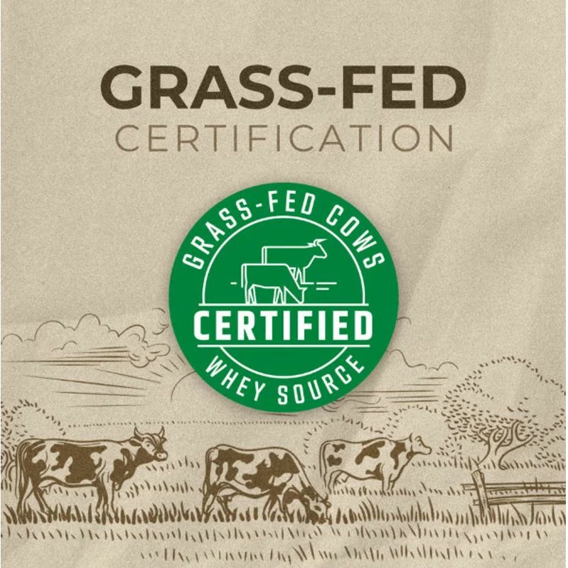 Whey Protein 2250g Qokollate Brownies