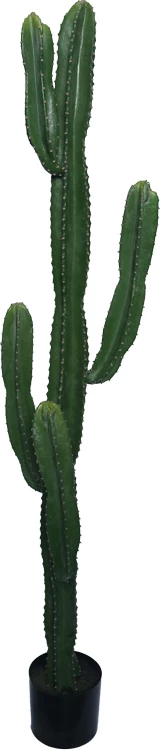 Bimë dekorative kaktus në vazo, Inart, jeshile, pp, H155cm