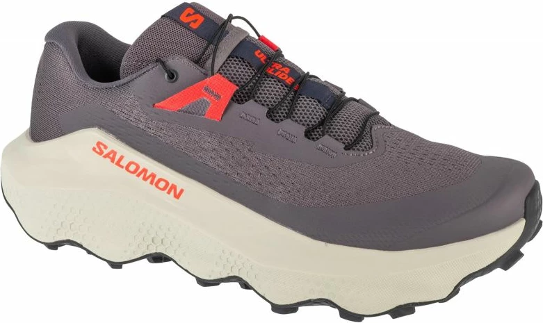 Atlete për meshkuj Salomon, gri