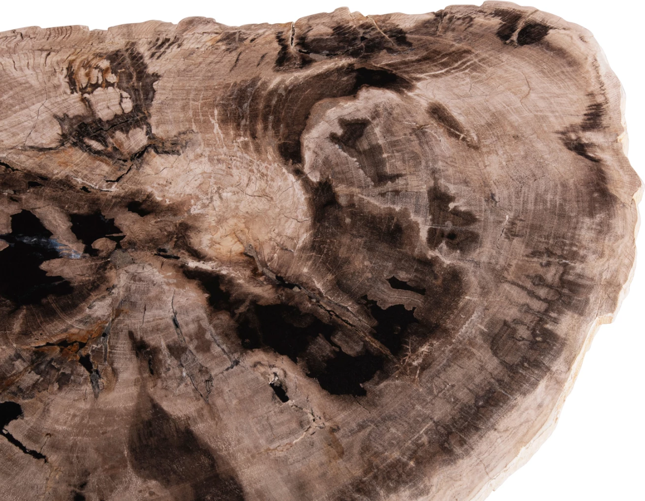 Tavolinë anësore SAMAN, këmbë metalike të zeza, sipërfaqe druri të fosilizuar, 70x55x40H cm