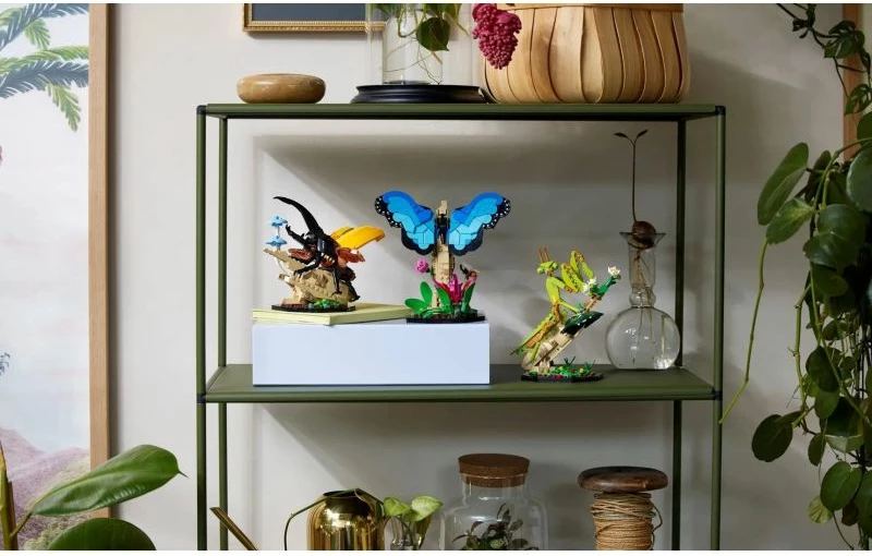 Set LEGO për të rritur, Lego