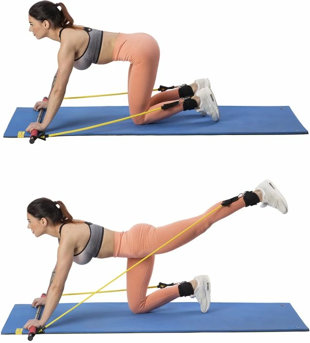 Shufër pilates HMS DC31 set