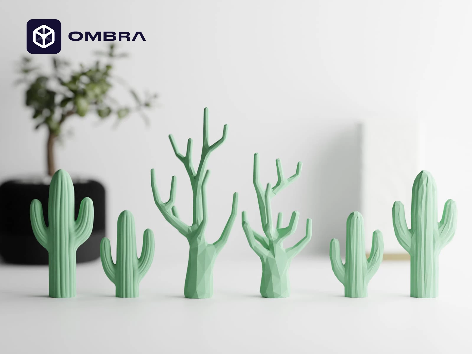 Mbajtse dekorative për unaza (Cactus Jewelry Holder): e gjelbert