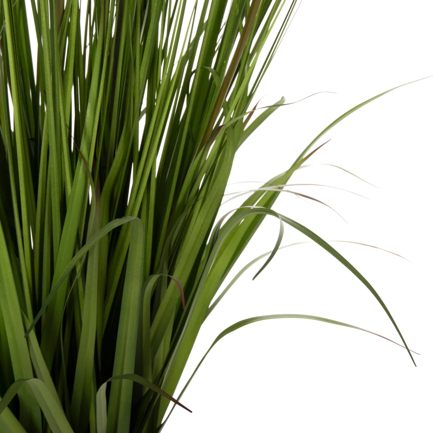 Bimë sintetike dekorative në vazo, FH7999, Ophiuro, 130Hcm