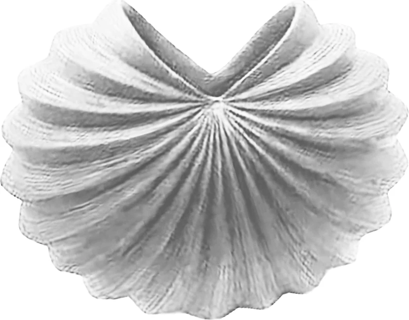 Vazo Gallina Blanc, polirezine, ngjyrë e bardhë mat, 9.5x9.5x25.2cm