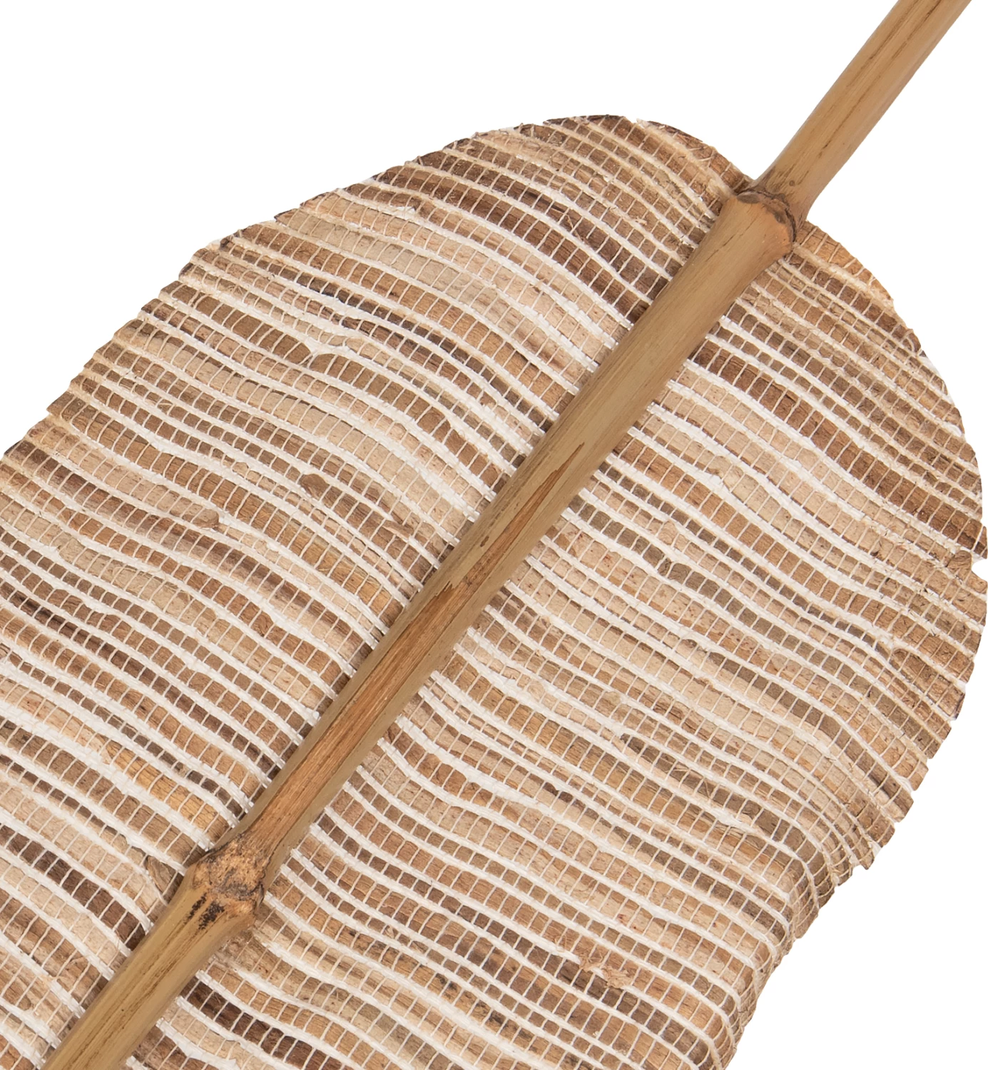 Gjethe dekorative FH7874, ngjyrë natyrale, 15x200x3 cm