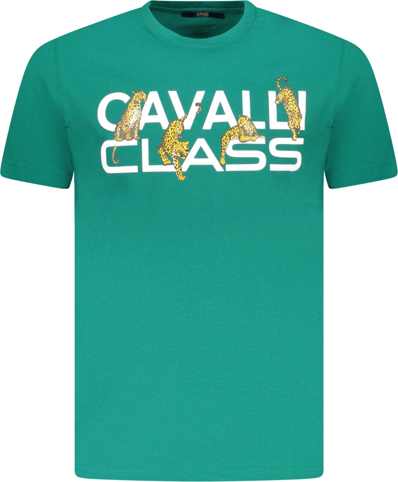 Maicë Cavalli Class për meshkuj, jeshile