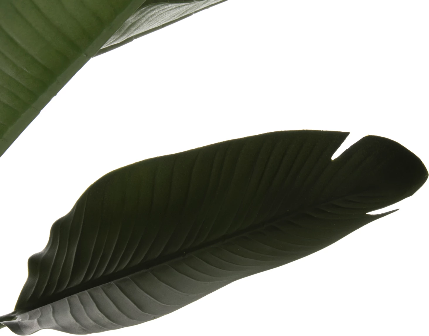 Bimë sintetike dekorative në vazo, FH7982, Φ17x14.5-150H cm