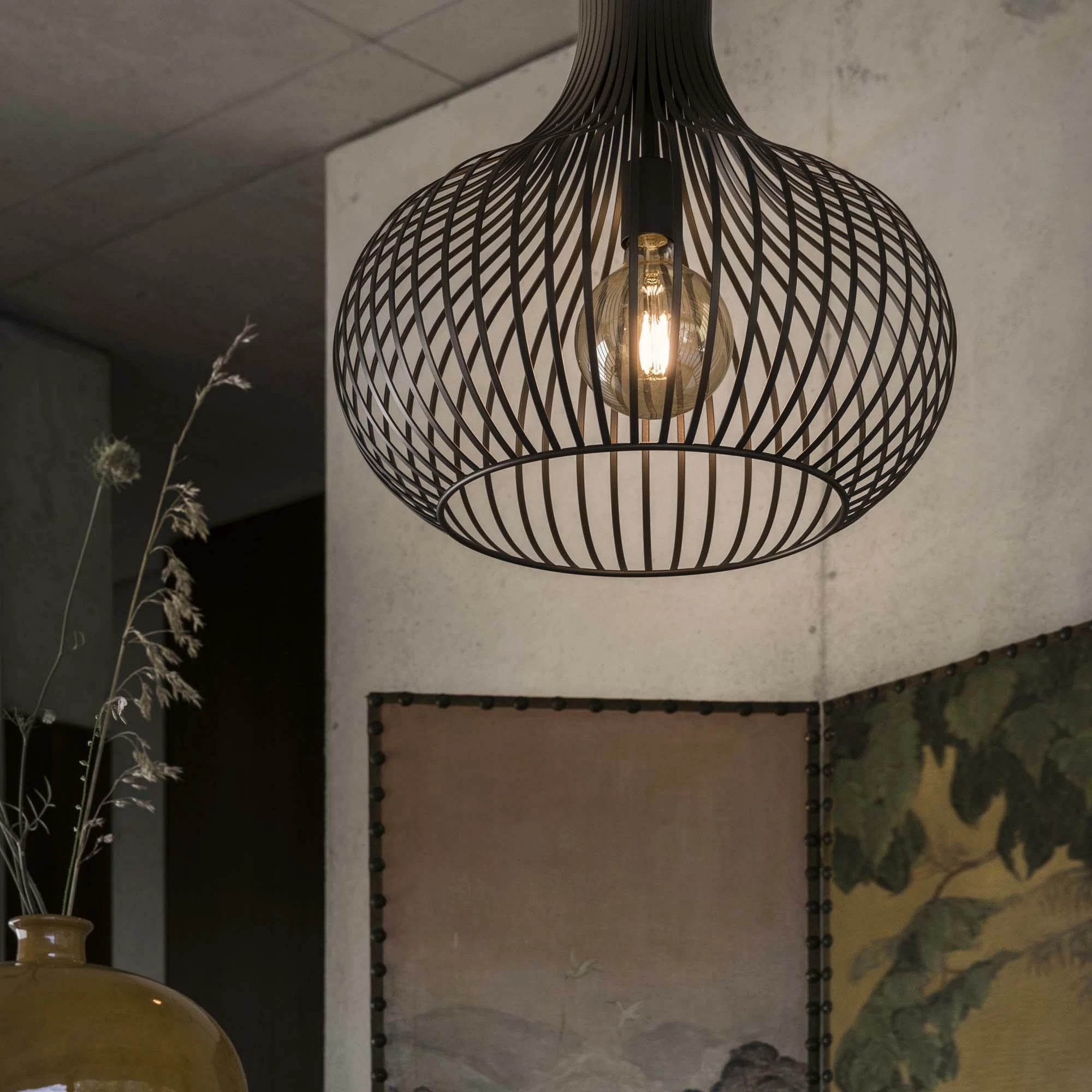 Llambë e varura  Onion sp1 d59