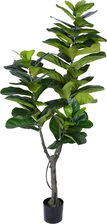 Bimë dekorative Fiddlehead I në vazo, ngjyrë e gjelbër, PP, 180cm