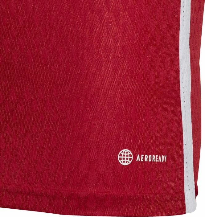 Fanellë futbolli për fëmijë adidas Tiro 23 Competition Match IC7457, e kuqe