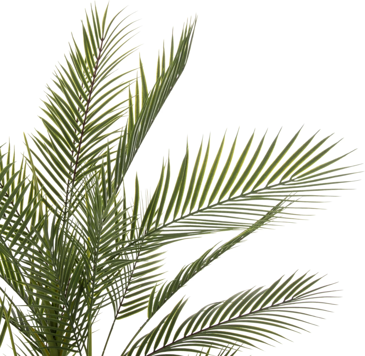 Bimë sintetike dekorative në vazo, KWAI TREE, FH7970, 17x14.5-155cm