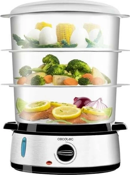 Avullore Cecotec Vapovita 3000 Inox, 9L, inox, argjendtë