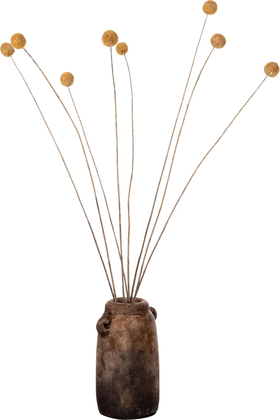 Buqetë dekorative e tharë Craspedia Globosa FH7956 e verdhë 63H cm