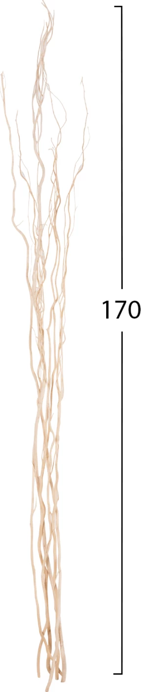 Buqetë dekorative 5 copë degë shelgu të thata FH7966 krem 170Hcm