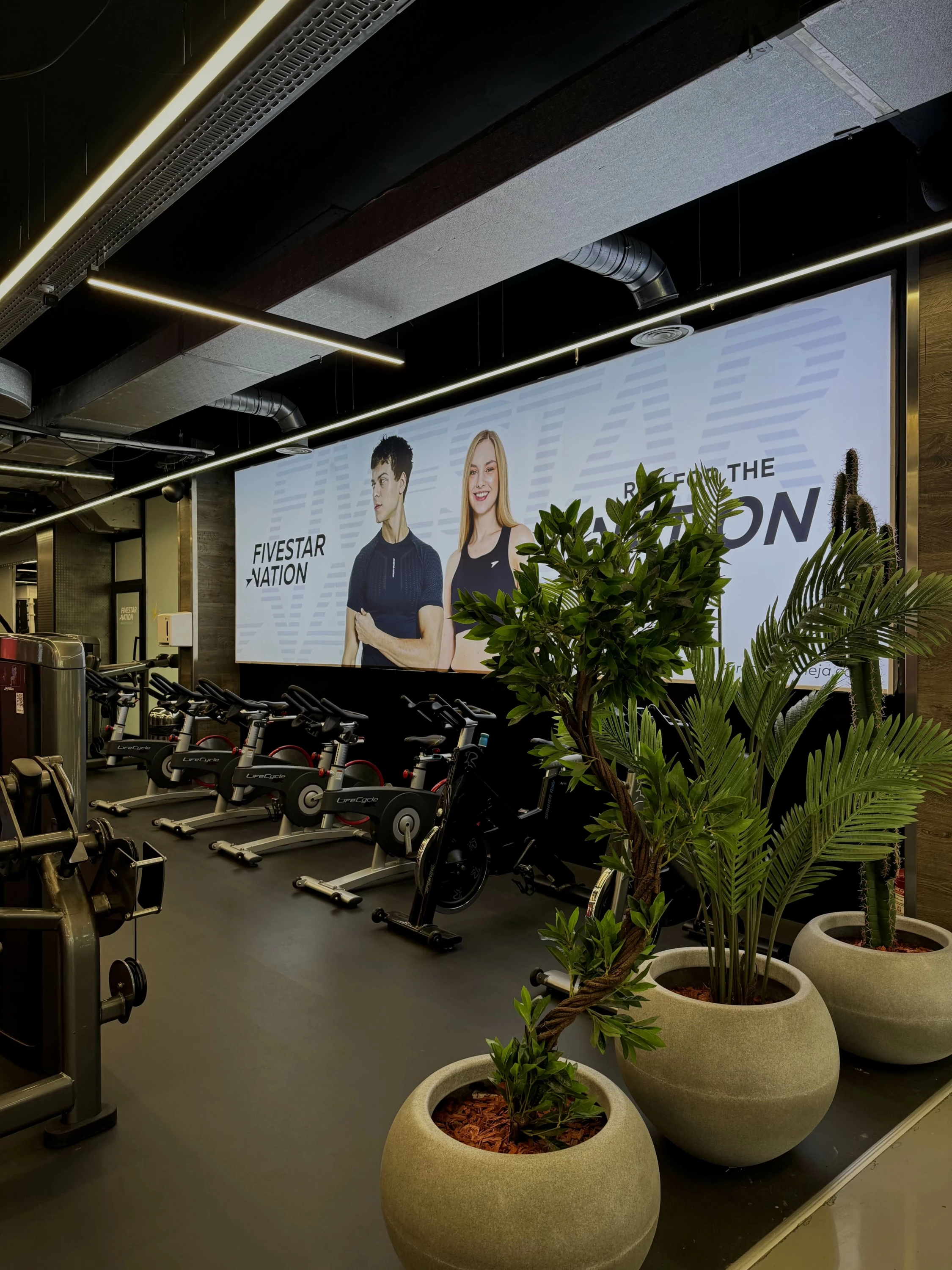 Pako fitnesi për meshkuj Fitstar UniClub, 1 vjeçare