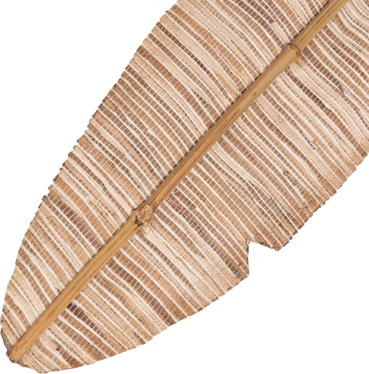 Gjethe dekorative FH7874, ngjyrë natyrale, 15x200x3 cm