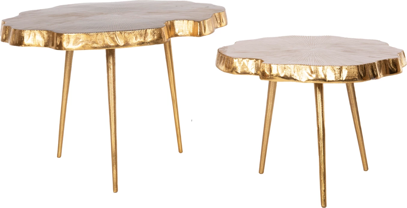 Set 2 copë tavolina kafeje ANGUL FH10708 metal në ar-zi-bardhë