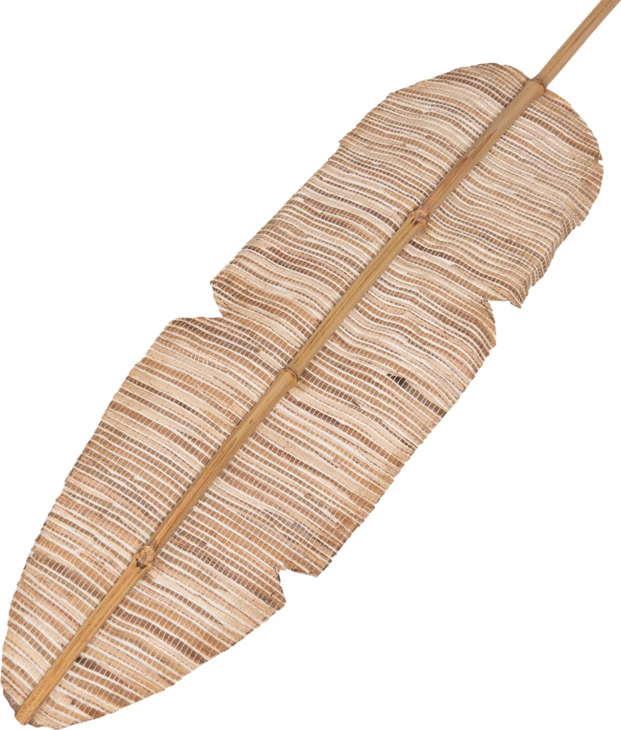 Gjethe dekorative FH7874, ngjyrë natyrale, 15x200x3 cm