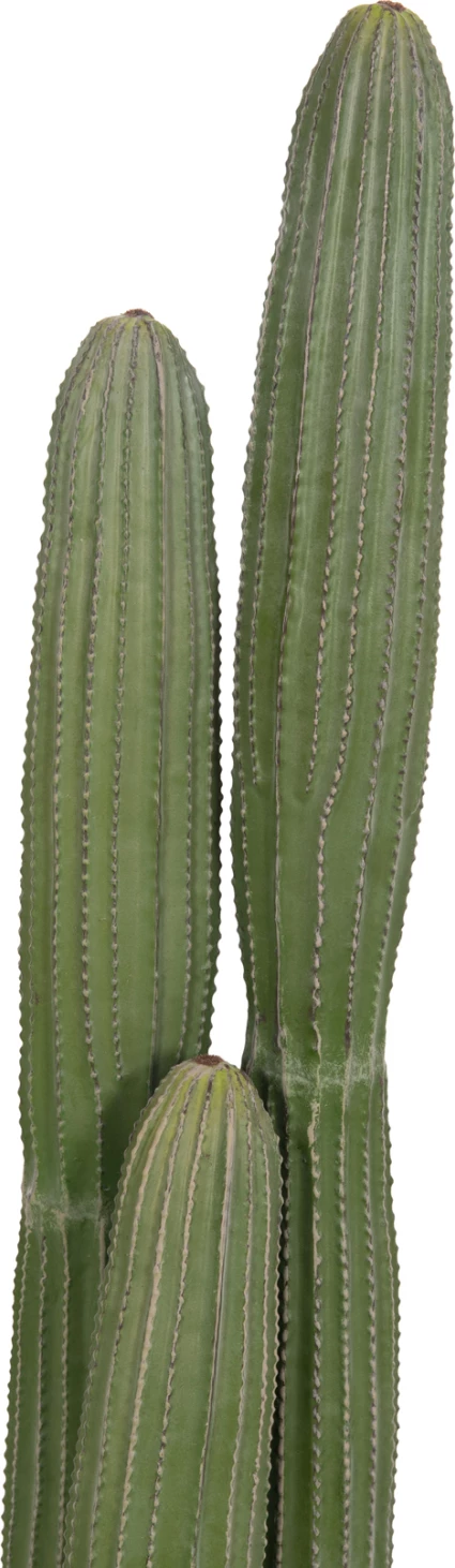 Bimë dekorative sintetike në vazo, lloj kaktusi, FH4744, 17.5x105cm