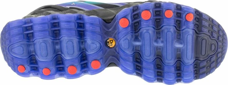 Atlete Nike për meshkuj, blu