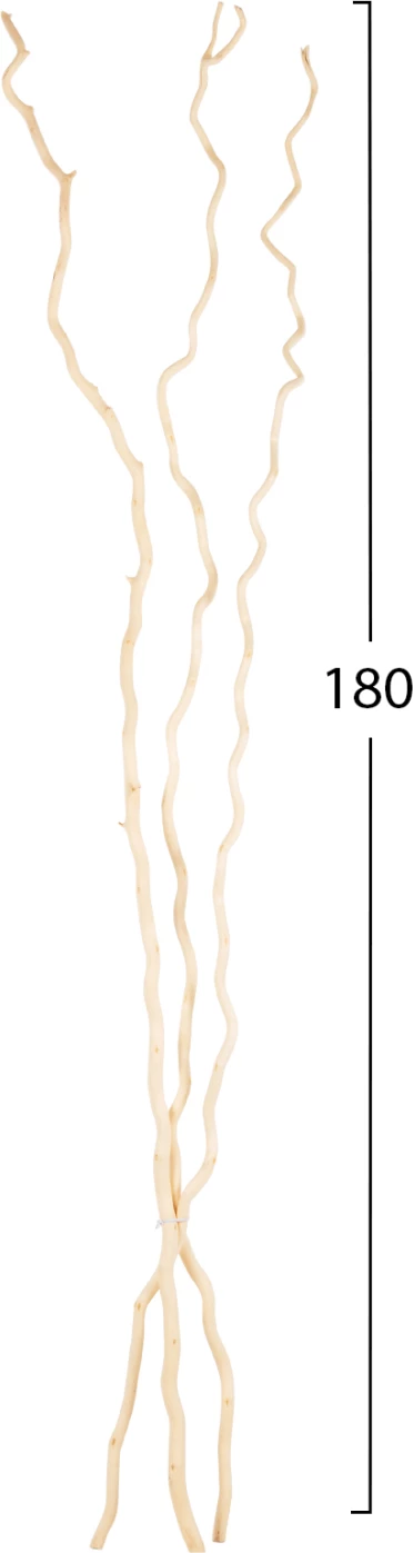 Buqetë dekorative, FH7967, 3 copë, degë të thara Morus Alba, ngjyrë krem, 180 cm