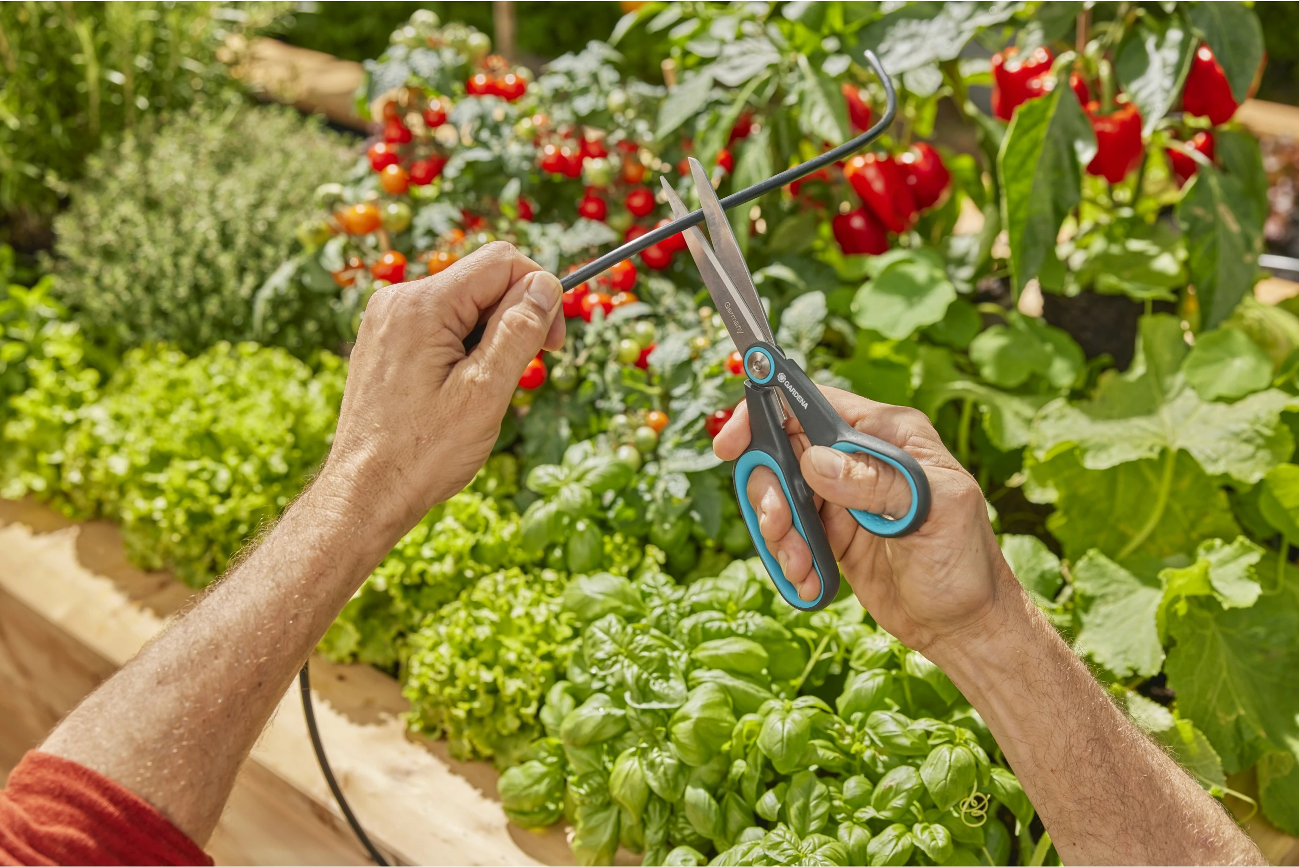 Set ujitje automatike GARDENA AquaBloom L, me bateri diellore, 20m, zi/gri