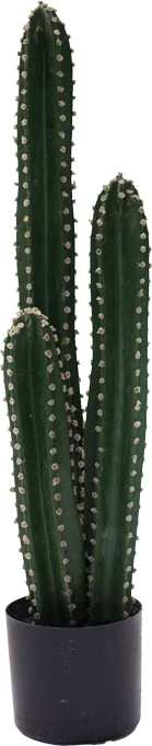 Bimë dekorative kaktus III në vazo, Inart, jeshile, pp, H85cm