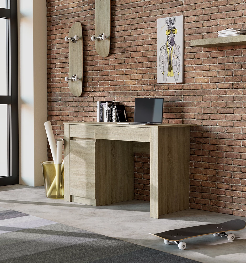 Pikturë dekorative Mr. Zebra, shumëngjyrëshe, kanavacë dhe dru, 30x60x2cm