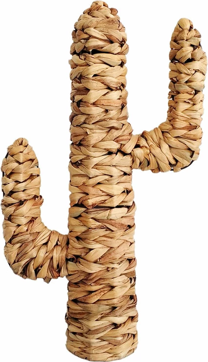 Dekor kaktusi nga bar deti, natyral, 35x13x60cm