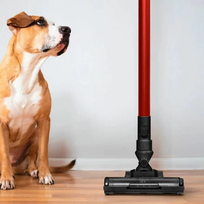 Fshesë me korrent vertikale UFESA Kalahari 2-në-1 (stick & handheld), filtër efikas, enë pluhuri e heqshme, kuqe/zezë