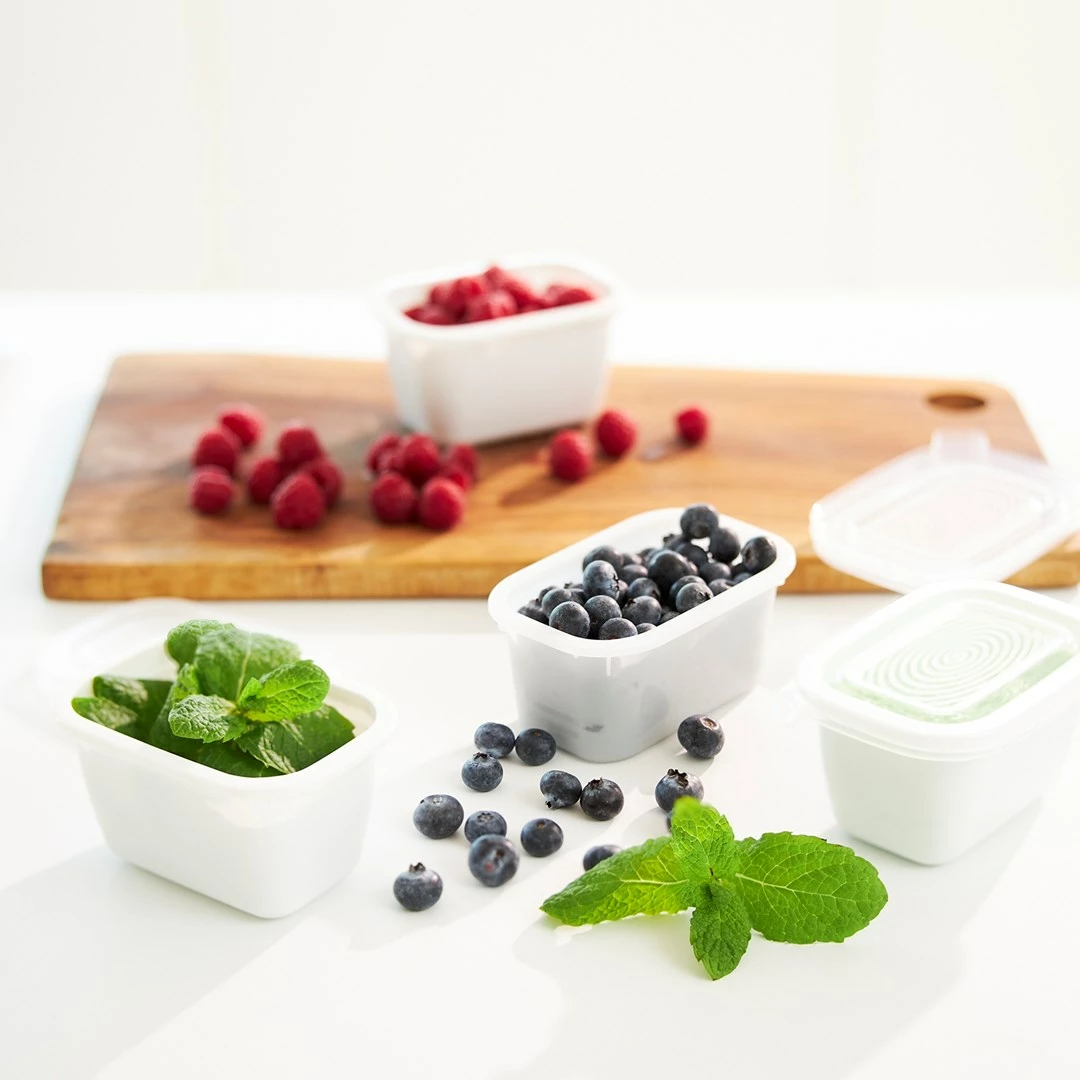 Enë për ngrirje Rotho Freeze, 6x250ml, Transparent