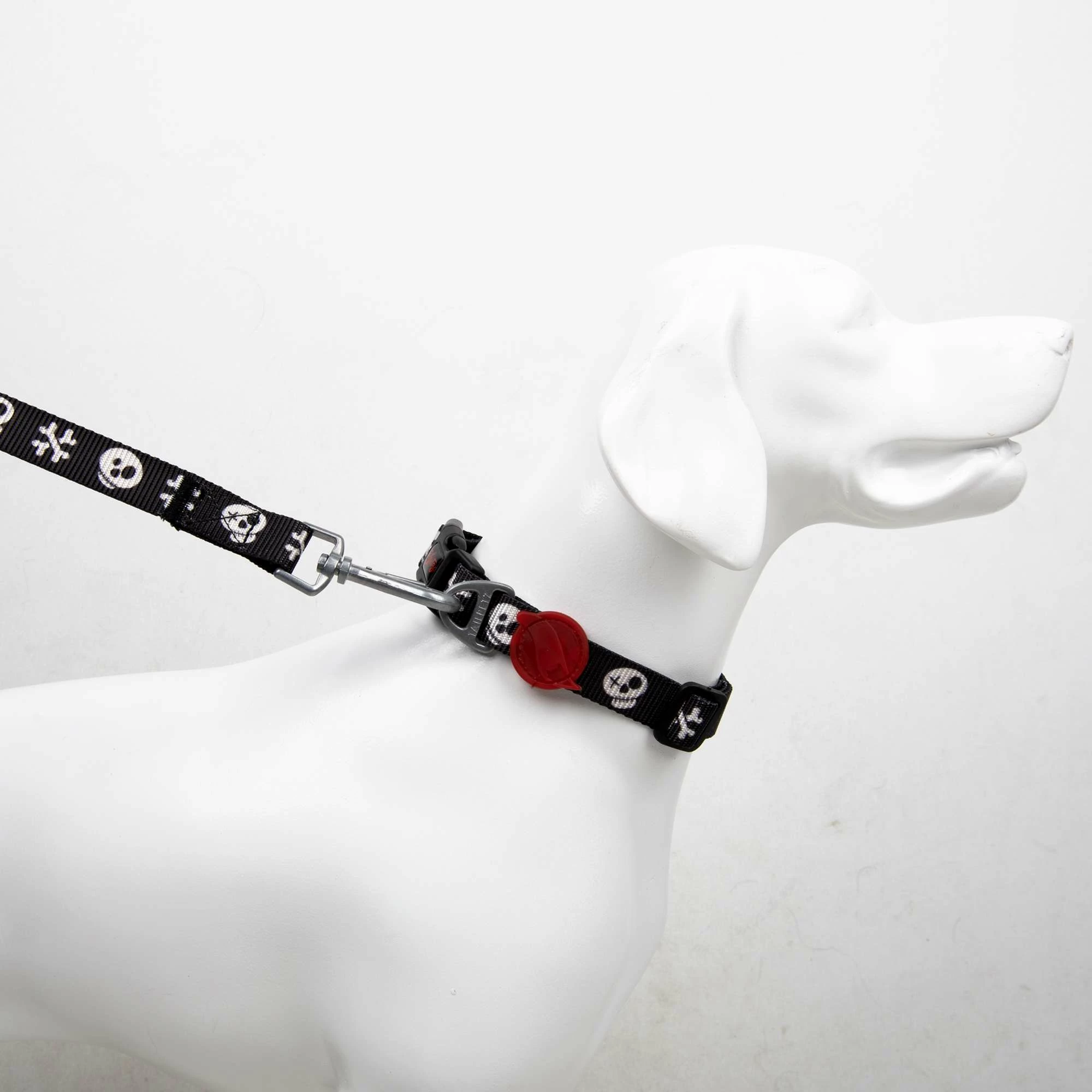 Qafore për qen XS, shumëngjyrëshe, Paws & Whiskers, Boo