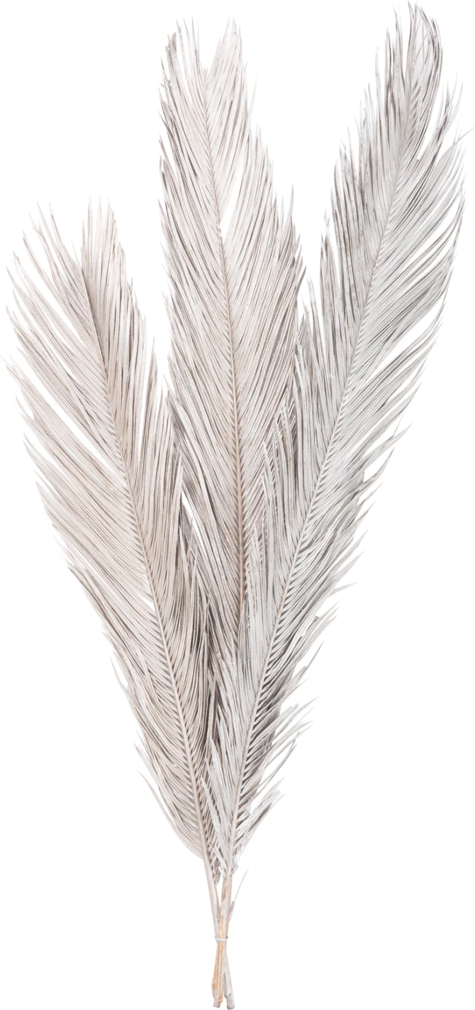 Set dekorativ me 3 gjethe palme të thata, ngjyrë argjendi, FH7957, 110H cm