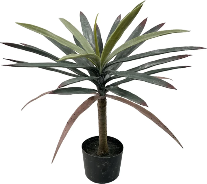 Bimë dekorative Dracaena palmë në vazo, ngjyrë e zezë-e gjelbër, H62cm, set prej 4 copash