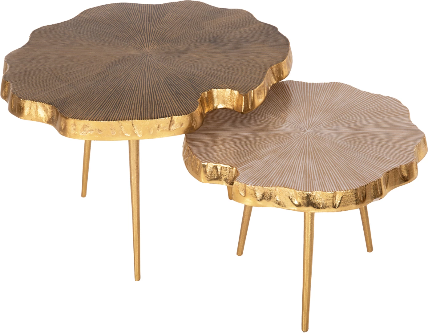 Set 2 copë tavolina kafeje ANGUL FH10708 metal në ar-zi-bardhë