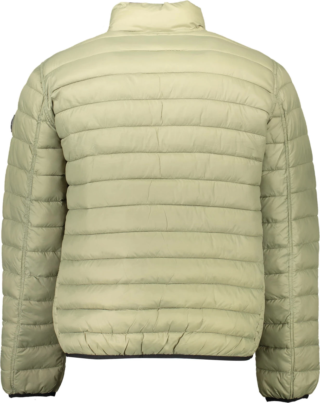 Jakne US Polo meshkuj, e gjelbër